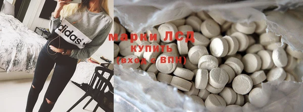 PSILOCYBIN Аркадак