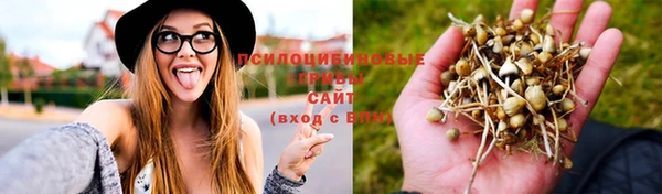 круглые Армянск