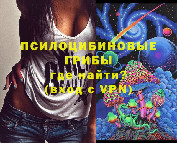 эйфоретик Арсеньев