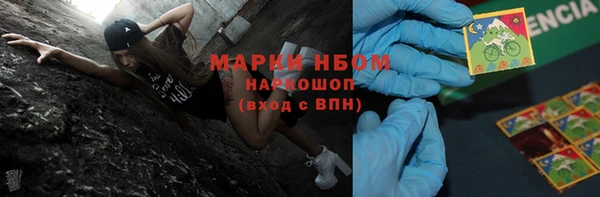 PSILOCYBIN Аркадак