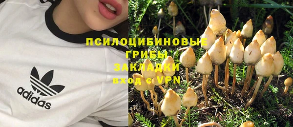 эйфоретик Арсеньев