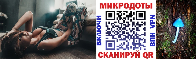 наркотики  Усть-Джегута  Псилоцибиновые грибы Psilocybine cubensis 